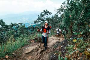 BIB: 
                            <button type="button" onclick="openModal(25558318)" class="btn btn-primary btn-sm float-right btn-popup" data-toggle="modal" data-target=".modal-high-quality">
                        <i class="fas fa-shopping-cart"></i> Add to Cart
                    </button>
                                            <button type="button" onclick="isThisMe(25558318, true)" class="btn btn-success btn-sm float-right btn-popup btn-isme hidden" data-toggle="tooltip" data-placement="bottom" title="นี่คือรูปของคุณใช่ไหม คลิกที่นี่เพื่อเอาเข้าอัลบั้ม">
                        <i class="fas fa-plus"></i> Add to album
                    </button>
                    <button type="button" onclick="isThisMe(25558318, false)" class="btn btn-warning btn-sm float-right btn-popup btn-isnotme hidden">
                        <i class="fas fa-ban"></i> Remove from album
                    </button>