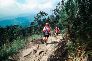 BIB: 
                            <button type="button" onclick="openModal(25561929)" class="btn btn-primary btn-sm float-right btn-popup" data-toggle="modal" data-target=".modal-high-quality">
                        <i class="fas fa-shopping-cart"></i> Add to Cart
                    </button>
                                            <button type="button" onclick="isThisMe(25561929, true)" class="btn btn-success btn-sm float-right btn-popup btn-isme hidden" data-toggle="tooltip" data-placement="bottom" title="นี่คือรูปของคุณใช่ไหม คลิกที่นี่เพื่อเอาเข้าอัลบั้ม">
                        <i class="fas fa-plus"></i> Add to album
                    </button>
                    <button type="button" onclick="isThisMe(25561929, false)" class="btn btn-warning btn-sm float-right btn-popup btn-isnotme hidden">
                        <i class="fas fa-ban"></i> Remove from album
                    </button>