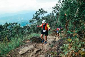 BIB: 
                            <button type="button" onclick="openModal(25555395)" class="btn btn-primary btn-sm float-right btn-popup" data-toggle="modal" data-target=".modal-high-quality">
                        <i class="fas fa-shopping-cart"></i> Add to Cart
                    </button>
                                            <button type="button" onclick="isThisMe(25555395, true)" class="btn btn-success btn-sm float-right btn-popup btn-isme hidden" data-toggle="tooltip" data-placement="bottom" title="นี่คือรูปของคุณใช่ไหม คลิกที่นี่เพื่อเอาเข้าอัลบั้ม">
                        <i class="fas fa-plus"></i> Add to album
                    </button>
                    <button type="button" onclick="isThisMe(25555395, false)" class="btn btn-warning btn-sm float-right btn-popup btn-isnotme hidden">
                        <i class="fas fa-ban"></i> Remove from album
                    </button>