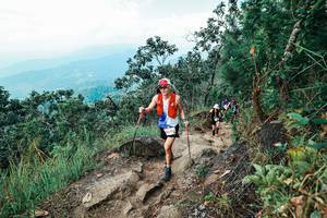 BIB: 
                            <button type="button" onclick="openModal(25555402)" class="btn btn-primary btn-sm float-right btn-popup" data-toggle="modal" data-target=".modal-high-quality">
                        <i class="fas fa-shopping-cart"></i> Add to Cart
                    </button>
                                            <button type="button" onclick="isThisMe(25555402, true)" class="btn btn-success btn-sm float-right btn-popup btn-isme hidden" data-toggle="tooltip" data-placement="bottom" title="นี่คือรูปของคุณใช่ไหม คลิกที่นี่เพื่อเอาเข้าอัลบั้ม">
                        <i class="fas fa-plus"></i> Add to album
                    </button>
                    <button type="button" onclick="isThisMe(25555402, false)" class="btn btn-warning btn-sm float-right btn-popup btn-isnotme hidden">
                        <i class="fas fa-ban"></i> Remove from album
                    </button>