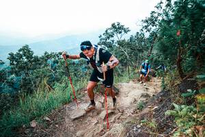 BIB: 
                            <button type="button" onclick="openModal(25561799)" class="btn btn-primary btn-sm float-right btn-popup" data-toggle="modal" data-target=".modal-high-quality">
                        <i class="fas fa-shopping-cart"></i> Add to Cart
                    </button>
                                            <button type="button" onclick="isThisMe(25561799, true)" class="btn btn-success btn-sm float-right btn-popup btn-isme hidden" data-toggle="tooltip" data-placement="bottom" title="นี่คือรูปของคุณใช่ไหม คลิกที่นี่เพื่อเอาเข้าอัลบั้ม">
                        <i class="fas fa-plus"></i> Add to album
                    </button>
                    <button type="button" onclick="isThisMe(25561799, false)" class="btn btn-warning btn-sm float-right btn-popup btn-isnotme hidden">
                        <i class="fas fa-ban"></i> Remove from album
                    </button>