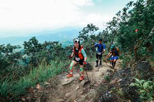 BIB: 
                            <button type="button" onclick="openModal(25555827)" class="btn btn-primary btn-sm float-right btn-popup" data-toggle="modal" data-target=".modal-high-quality">
                        <i class="fas fa-shopping-cart"></i> Add to Cart
                    </button>
                                            <button type="button" onclick="isThisMe(25555827, true)" class="btn btn-success btn-sm float-right btn-popup btn-isme hidden" data-toggle="tooltip" data-placement="bottom" title="นี่คือรูปของคุณใช่ไหม คลิกที่นี่เพื่อเอาเข้าอัลบั้ม">
                        <i class="fas fa-plus"></i> Add to album
                    </button>
                    <button type="button" onclick="isThisMe(25555827, false)" class="btn btn-warning btn-sm float-right btn-popup btn-isnotme hidden">
                        <i class="fas fa-ban"></i> Remove from album
                    </button>