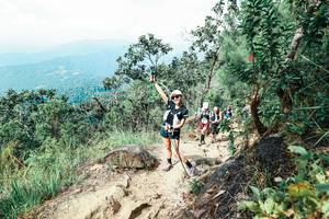 BIB: 
                            <button type="button" onclick="openModal(25557146)" class="btn btn-primary btn-sm float-right btn-popup" data-toggle="modal" data-target=".modal-high-quality">
                        <i class="fas fa-shopping-cart"></i> Add to Cart
                    </button>
                                            <button type="button" onclick="isThisMe(25557146, true)" class="btn btn-success btn-sm float-right btn-popup btn-isme hidden" data-toggle="tooltip" data-placement="bottom" title="นี่คือรูปของคุณใช่ไหม คลิกที่นี่เพื่อเอาเข้าอัลบั้ม">
                        <i class="fas fa-plus"></i> Add to album
                    </button>
                    <button type="button" onclick="isThisMe(25557146, false)" class="btn btn-warning btn-sm float-right btn-popup btn-isnotme hidden">
                        <i class="fas fa-ban"></i> Remove from album
                    </button>