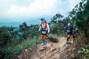 BIB: 
                            <button type="button" onclick="openModal(25560667)" class="btn btn-primary btn-sm float-right btn-popup" data-toggle="modal" data-target=".modal-high-quality">
                        <i class="fas fa-shopping-cart"></i> Add to Cart
                    </button>
                                            <button type="button" onclick="isThisMe(25560667, true)" class="btn btn-success btn-sm float-right btn-popup btn-isme hidden" data-toggle="tooltip" data-placement="bottom" title="นี่คือรูปของคุณใช่ไหม คลิกที่นี่เพื่อเอาเข้าอัลบั้ม">
                        <i class="fas fa-plus"></i> Add to album
                    </button>
                    <button type="button" onclick="isThisMe(25560667, false)" class="btn btn-warning btn-sm float-right btn-popup btn-isnotme hidden">
                        <i class="fas fa-ban"></i> Remove from album
                    </button>