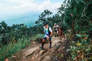 BIB: 
                            <button type="button" onclick="openModal(25556614)" class="btn btn-primary btn-sm float-right btn-popup" data-toggle="modal" data-target=".modal-high-quality">
                        <i class="fas fa-shopping-cart"></i> Add to Cart
                    </button>
                                            <button type="button" onclick="isThisMe(25556614, true)" class="btn btn-success btn-sm float-right btn-popup btn-isme hidden" data-toggle="tooltip" data-placement="bottom" title="นี่คือรูปของคุณใช่ไหม คลิกที่นี่เพื่อเอาเข้าอัลบั้ม">
                        <i class="fas fa-plus"></i> Add to album
                    </button>
                    <button type="button" onclick="isThisMe(25556614, false)" class="btn btn-warning btn-sm float-right btn-popup btn-isnotme hidden">
                        <i class="fas fa-ban"></i> Remove from album
                    </button>