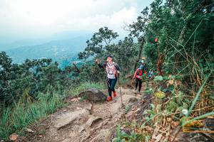 BIB: 
                            <button type="button" onclick="openModal(25559598)" class="btn btn-primary btn-sm float-right btn-popup" data-toggle="modal" data-target=".modal-high-quality">
                        <i class="fas fa-shopping-cart"></i> Add to Cart
                    </button>
                                            <button type="button" onclick="isThisMe(25559598, true)" class="btn btn-success btn-sm float-right btn-popup btn-isme hidden" data-toggle="tooltip" data-placement="bottom" title="นี่คือรูปของคุณใช่ไหม คลิกที่นี่เพื่อเอาเข้าอัลบั้ม">
                        <i class="fas fa-plus"></i> Add to album
                    </button>
                    <button type="button" onclick="isThisMe(25559598, false)" class="btn btn-warning btn-sm float-right btn-popup btn-isnotme hidden">
                        <i class="fas fa-ban"></i> Remove from album
                    </button>