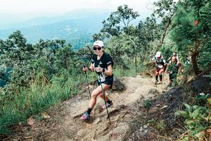 BIB: 
                            <button type="button" onclick="openModal(25557157)" class="btn btn-primary btn-sm float-right btn-popup" data-toggle="modal" data-target=".modal-high-quality">
                        <i class="fas fa-shopping-cart"></i> Add to Cart
                    </button>
                                            <button type="button" onclick="isThisMe(25557157, true)" class="btn btn-success btn-sm float-right btn-popup btn-isme hidden" data-toggle="tooltip" data-placement="bottom" title="นี่คือรูปของคุณใช่ไหม คลิกที่นี่เพื่อเอาเข้าอัลบั้ม">
                        <i class="fas fa-plus"></i> Add to album
                    </button>
                    <button type="button" onclick="isThisMe(25557157, false)" class="btn btn-warning btn-sm float-right btn-popup btn-isnotme hidden">
                        <i class="fas fa-ban"></i> Remove from album
                    </button>