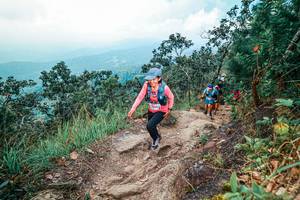 BIB: 
                            <button type="button" onclick="openModal(25559659)" class="btn btn-primary btn-sm float-right btn-popup" data-toggle="modal" data-target=".modal-high-quality">
                        <i class="fas fa-shopping-cart"></i> Add to Cart
                    </button>
                                            <button type="button" onclick="isThisMe(25559659, true)" class="btn btn-success btn-sm float-right btn-popup btn-isme hidden" data-toggle="tooltip" data-placement="bottom" title="นี่คือรูปของคุณใช่ไหม คลิกที่นี่เพื่อเอาเข้าอัลบั้ม">
                        <i class="fas fa-plus"></i> Add to album
                    </button>
                    <button type="button" onclick="isThisMe(25559659, false)" class="btn btn-warning btn-sm float-right btn-popup btn-isnotme hidden">
                        <i class="fas fa-ban"></i> Remove from album
                    </button>