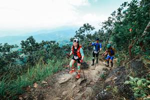 BIB: 
                            <button type="button" onclick="openModal(25555825)" class="btn btn-primary btn-sm float-right btn-popup" data-toggle="modal" data-target=".modal-high-quality">
                        <i class="fas fa-shopping-cart"></i> Add to Cart
                    </button>
                                            <button type="button" onclick="isThisMe(25555825, true)" class="btn btn-success btn-sm float-right btn-popup btn-isme hidden" data-toggle="tooltip" data-placement="bottom" title="นี่คือรูปของคุณใช่ไหม คลิกที่นี่เพื่อเอาเข้าอัลบั้ม">
                        <i class="fas fa-plus"></i> Add to album
                    </button>
                    <button type="button" onclick="isThisMe(25555825, false)" class="btn btn-warning btn-sm float-right btn-popup btn-isnotme hidden">
                        <i class="fas fa-ban"></i> Remove from album
                    </button>