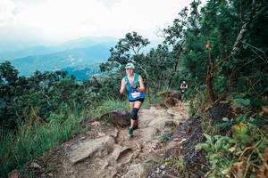 BIB: 
                            <button type="button" onclick="openModal(25561214)" class="btn btn-primary btn-sm float-right btn-popup" data-toggle="modal" data-target=".modal-high-quality">
                        <i class="fas fa-shopping-cart"></i> Add to Cart
                    </button>
                                            <button type="button" onclick="isThisMe(25561214, true)" class="btn btn-success btn-sm float-right btn-popup btn-isme hidden" data-toggle="tooltip" data-placement="bottom" title="นี่คือรูปของคุณใช่ไหม คลิกที่นี่เพื่อเอาเข้าอัลบั้ม">
                        <i class="fas fa-plus"></i> Add to album
                    </button>
                    <button type="button" onclick="isThisMe(25561214, false)" class="btn btn-warning btn-sm float-right btn-popup btn-isnotme hidden">
                        <i class="fas fa-ban"></i> Remove from album
                    </button>