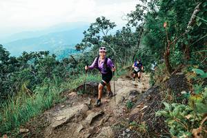 BIB: 
                            <button type="button" onclick="openModal(25555441)" class="btn btn-primary btn-sm float-right btn-popup" data-toggle="modal" data-target=".modal-high-quality">
                        <i class="fas fa-shopping-cart"></i> Add to Cart
                    </button>
                                            <button type="button" onclick="isThisMe(25555441, true)" class="btn btn-success btn-sm float-right btn-popup btn-isme hidden" data-toggle="tooltip" data-placement="bottom" title="นี่คือรูปของคุณใช่ไหม คลิกที่นี่เพื่อเอาเข้าอัลบั้ม">
                        <i class="fas fa-plus"></i> Add to album
                    </button>
                    <button type="button" onclick="isThisMe(25555441, false)" class="btn btn-warning btn-sm float-right btn-popup btn-isnotme hidden">
                        <i class="fas fa-ban"></i> Remove from album
                    </button>