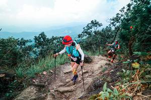 BIB: 
                            <button type="button" onclick="openModal(25560749)" class="btn btn-primary btn-sm float-right btn-popup" data-toggle="modal" data-target=".modal-high-quality">
                        <i class="fas fa-shopping-cart"></i> Add to Cart
                    </button>
                                            <button type="button" onclick="isThisMe(25560749, true)" class="btn btn-success btn-sm float-right btn-popup btn-isme hidden" data-toggle="tooltip" data-placement="bottom" title="นี่คือรูปของคุณใช่ไหม คลิกที่นี่เพื่อเอาเข้าอัลบั้ม">
                        <i class="fas fa-plus"></i> Add to album
                    </button>
                    <button type="button" onclick="isThisMe(25560749, false)" class="btn btn-warning btn-sm float-right btn-popup btn-isnotme hidden">
                        <i class="fas fa-ban"></i> Remove from album
                    </button>