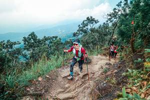 BIB: 
                            <button type="button" onclick="openModal(25559592)" class="btn btn-primary btn-sm float-right btn-popup" data-toggle="modal" data-target=".modal-high-quality">
                        <i class="fas fa-shopping-cart"></i> Add to Cart
                    </button>
                                            <button type="button" onclick="isThisMe(25559592, true)" class="btn btn-success btn-sm float-right btn-popup btn-isme hidden" data-toggle="tooltip" data-placement="bottom" title="นี่คือรูปของคุณใช่ไหม คลิกที่นี่เพื่อเอาเข้าอัลบั้ม">
                        <i class="fas fa-plus"></i> Add to album
                    </button>
                    <button type="button" onclick="isThisMe(25559592, false)" class="btn btn-warning btn-sm float-right btn-popup btn-isnotme hidden">
                        <i class="fas fa-ban"></i> Remove from album
                    </button>