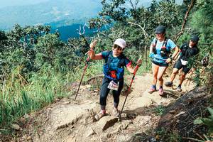 BIB: 
                            <button type="button" onclick="openModal(25558786)" class="btn btn-primary btn-sm float-right btn-popup" data-toggle="modal" data-target=".modal-high-quality">
                        <i class="fas fa-shopping-cart"></i> Add to Cart
                    </button>
                                            <button type="button" onclick="isThisMe(25558786, true)" class="btn btn-success btn-sm float-right btn-popup btn-isme hidden" data-toggle="tooltip" data-placement="bottom" title="นี่คือรูปของคุณใช่ไหม คลิกที่นี่เพื่อเอาเข้าอัลบั้ม">
                        <i class="fas fa-plus"></i> Add to album
                    </button>
                    <button type="button" onclick="isThisMe(25558786, false)" class="btn btn-warning btn-sm float-right btn-popup btn-isnotme hidden">
                        <i class="fas fa-ban"></i> Remove from album
                    </button>