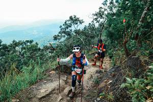 BIB: 
                            <button type="button" onclick="openModal(25555947)" class="btn btn-primary btn-sm float-right btn-popup" data-toggle="modal" data-target=".modal-high-quality">
                        <i class="fas fa-shopping-cart"></i> Add to Cart
                    </button>
                                            <button type="button" onclick="isThisMe(25555947, true)" class="btn btn-success btn-sm float-right btn-popup btn-isme hidden" data-toggle="tooltip" data-placement="bottom" title="นี่คือรูปของคุณใช่ไหม คลิกที่นี่เพื่อเอาเข้าอัลบั้ม">
                        <i class="fas fa-plus"></i> Add to album
                    </button>
                    <button type="button" onclick="isThisMe(25555947, false)" class="btn btn-warning btn-sm float-right btn-popup btn-isnotme hidden">
                        <i class="fas fa-ban"></i> Remove from album
                    </button>