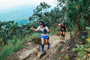 BIB: 
                            <button type="button" onclick="openModal(25555335)" class="btn btn-primary btn-sm float-right btn-popup" data-toggle="modal" data-target=".modal-high-quality">
                        <i class="fas fa-shopping-cart"></i> Add to Cart
                    </button>
                                            <button type="button" onclick="isThisMe(25555335, true)" class="btn btn-success btn-sm float-right btn-popup btn-isme hidden" data-toggle="tooltip" data-placement="bottom" title="นี่คือรูปของคุณใช่ไหม คลิกที่นี่เพื่อเอาเข้าอัลบั้ม">
                        <i class="fas fa-plus"></i> Add to album
                    </button>
                    <button type="button" onclick="isThisMe(25555335, false)" class="btn btn-warning btn-sm float-right btn-popup btn-isnotme hidden">
                        <i class="fas fa-ban"></i> Remove from album
                    </button>