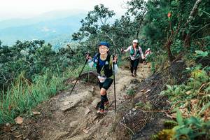 BIB: 
                            <button type="button" onclick="openModal(25555978)" class="btn btn-primary btn-sm float-right btn-popup" data-toggle="modal" data-target=".modal-high-quality">
                        <i class="fas fa-shopping-cart"></i> Add to Cart
                    </button>
                                            <button type="button" onclick="isThisMe(25555978, true)" class="btn btn-success btn-sm float-right btn-popup btn-isme hidden" data-toggle="tooltip" data-placement="bottom" title="นี่คือรูปของคุณใช่ไหม คลิกที่นี่เพื่อเอาเข้าอัลบั้ม">
                        <i class="fas fa-plus"></i> Add to album
                    </button>
                    <button type="button" onclick="isThisMe(25555978, false)" class="btn btn-warning btn-sm float-right btn-popup btn-isnotme hidden">
                        <i class="fas fa-ban"></i> Remove from album
                    </button>