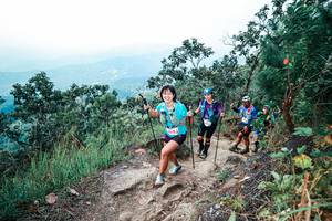 BIB: 
                            <button type="button" onclick="openModal(25560987)" class="btn btn-primary btn-sm float-right btn-popup" data-toggle="modal" data-target=".modal-high-quality">
                        <i class="fas fa-shopping-cart"></i> Add to Cart
                    </button>
                                            <button type="button" onclick="isThisMe(25560987, true)" class="btn btn-success btn-sm float-right btn-popup btn-isme hidden" data-toggle="tooltip" data-placement="bottom" title="นี่คือรูปของคุณใช่ไหม คลิกที่นี่เพื่อเอาเข้าอัลบั้ม">
                        <i class="fas fa-plus"></i> Add to album
                    </button>
                    <button type="button" onclick="isThisMe(25560987, false)" class="btn btn-warning btn-sm float-right btn-popup btn-isnotme hidden">
                        <i class="fas fa-ban"></i> Remove from album
                    </button>