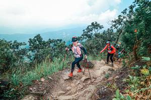 BIB: 
                            <button type="button" onclick="openModal(25559644)" class="btn btn-primary btn-sm float-right btn-popup" data-toggle="modal" data-target=".modal-high-quality">
                        <i class="fas fa-shopping-cart"></i> Add to Cart
                    </button>
                                            <button type="button" onclick="isThisMe(25559644, true)" class="btn btn-success btn-sm float-right btn-popup btn-isme hidden" data-toggle="tooltip" data-placement="bottom" title="นี่คือรูปของคุณใช่ไหม คลิกที่นี่เพื่อเอาเข้าอัลบั้ม">
                        <i class="fas fa-plus"></i> Add to album
                    </button>
                    <button type="button" onclick="isThisMe(25559644, false)" class="btn btn-warning btn-sm float-right btn-popup btn-isnotme hidden">
                        <i class="fas fa-ban"></i> Remove from album
                    </button>