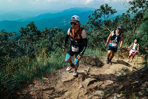 BIB: 
                            <button type="button" onclick="openModal(25556533)" class="btn btn-primary btn-sm float-right btn-popup" data-toggle="modal" data-target=".modal-high-quality">
                        <i class="fas fa-shopping-cart"></i> Add to Cart
                    </button>
                                            <button type="button" onclick="isThisMe(25556533, true)" class="btn btn-success btn-sm float-right btn-popup btn-isme hidden" data-toggle="tooltip" data-placement="bottom" title="นี่คือรูปของคุณใช่ไหม คลิกที่นี่เพื่อเอาเข้าอัลบั้ม">
                        <i class="fas fa-plus"></i> Add to album
                    </button>
                    <button type="button" onclick="isThisMe(25556533, false)" class="btn btn-warning btn-sm float-right btn-popup btn-isnotme hidden">
                        <i class="fas fa-ban"></i> Remove from album
                    </button>