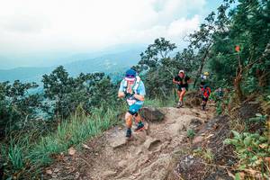 BIB: 
                            <button type="button" onclick="openModal(25559677)" class="btn btn-primary btn-sm float-right btn-popup" data-toggle="modal" data-target=".modal-high-quality">
                        <i class="fas fa-shopping-cart"></i> Add to Cart
                    </button>
                                            <button type="button" onclick="isThisMe(25559677, true)" class="btn btn-success btn-sm float-right btn-popup btn-isme hidden" data-toggle="tooltip" data-placement="bottom" title="นี่คือรูปของคุณใช่ไหม คลิกที่นี่เพื่อเอาเข้าอัลบั้ม">
                        <i class="fas fa-plus"></i> Add to album
                    </button>
                    <button type="button" onclick="isThisMe(25559677, false)" class="btn btn-warning btn-sm float-right btn-popup btn-isnotme hidden">
                        <i class="fas fa-ban"></i> Remove from album
                    </button>