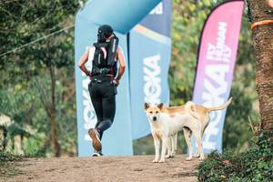 BIB: 
                            <button type="button" onclick="openModal(25439952)" class="btn btn-primary btn-sm float-right btn-popup" data-toggle="modal" data-target=".modal-high-quality">
                        <i class="fas fa-shopping-cart"></i> Add to Cart
                    </button>
                                            <button type="button" onclick="isThisMe(25439952, true)" class="btn btn-success btn-sm float-right btn-popup btn-isme hidden" data-toggle="tooltip" data-placement="bottom" title="นี่คือรูปของคุณใช่ไหม คลิกที่นี่เพื่อเอาเข้าอัลบั้ม">
                        <i class="fas fa-plus"></i> Add to album
                    </button>
                    <button type="button" onclick="isThisMe(25439952, false)" class="btn btn-warning btn-sm float-right btn-popup btn-isnotme hidden">
                        <i class="fas fa-ban"></i> Remove from album
                    </button>