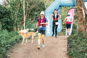 BIB: 
                            <button type="button" onclick="openModal(25439811)" class="btn btn-primary btn-sm float-right btn-popup" data-toggle="modal" data-target=".modal-high-quality">
                        <i class="fas fa-shopping-cart"></i> Add to Cart
                    </button>
                                            <button type="button" onclick="isThisMe(25439811, true)" class="btn btn-success btn-sm float-right btn-popup btn-isme hidden" data-toggle="tooltip" data-placement="bottom" title="นี่คือรูปของคุณใช่ไหม คลิกที่นี่เพื่อเอาเข้าอัลบั้ม">
                        <i class="fas fa-plus"></i> Add to album
                    </button>
                    <button type="button" onclick="isThisMe(25439811, false)" class="btn btn-warning btn-sm float-right btn-popup btn-isnotme hidden">
                        <i class="fas fa-ban"></i> Remove from album
                    </button>