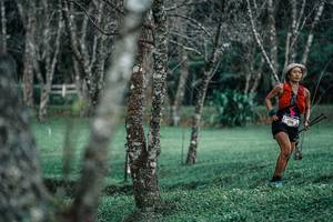 BIB: 
                            <button type="button" onclick="openModal(25228428)" class="btn btn-primary btn-sm float-right btn-popup" data-toggle="modal" data-target=".modal-high-quality">
                        <i class="fas fa-shopping-cart"></i> Add to Cart
                    </button>
                                            <button type="button" onclick="isThisMe(25228428, true)" class="btn btn-success btn-sm float-right btn-popup btn-isme hidden" data-toggle="tooltip" data-placement="bottom" title="นี่คือรูปของคุณใช่ไหม คลิกที่นี่เพื่อเอาเข้าอัลบั้ม">
                        <i class="fas fa-plus"></i> Add to album
                    </button>
                    <button type="button" onclick="isThisMe(25228428, false)" class="btn btn-warning btn-sm float-right btn-popup btn-isnotme hidden">
                        <i class="fas fa-ban"></i> Remove from album
                    </button>