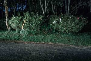 BIB: 
                            <button type="button" onclick="openModal(25226381)" class="btn btn-primary btn-sm float-right btn-popup" data-toggle="modal" data-target=".modal-high-quality">
                        <i class="fas fa-shopping-cart"></i> Add to Cart
                    </button>
                                            <button type="button" onclick="isThisMe(25226381, true)" class="btn btn-success btn-sm float-right btn-popup btn-isme hidden" data-toggle="tooltip" data-placement="bottom" title="นี่คือรูปของคุณใช่ไหม คลิกที่นี่เพื่อเอาเข้าอัลบั้ม">
                        <i class="fas fa-plus"></i> Add to album
                    </button>
                    <button type="button" onclick="isThisMe(25226381, false)" class="btn btn-warning btn-sm float-right btn-popup btn-isnotme hidden">
                        <i class="fas fa-ban"></i> Remove from album
                    </button>