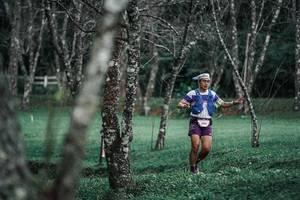 BIB: 
                            <button type="button" onclick="openModal(25226949)" class="btn btn-primary btn-sm float-right btn-popup" data-toggle="modal" data-target=".modal-high-quality">
                        <i class="fas fa-shopping-cart"></i> Add to Cart
                    </button>
                                            <button type="button" onclick="isThisMe(25226949, true)" class="btn btn-success btn-sm float-right btn-popup btn-isme hidden" data-toggle="tooltip" data-placement="bottom" title="นี่คือรูปของคุณใช่ไหม คลิกที่นี่เพื่อเอาเข้าอัลบั้ม">
                        <i class="fas fa-plus"></i> Add to album
                    </button>
                    <button type="button" onclick="isThisMe(25226949, false)" class="btn btn-warning btn-sm float-right btn-popup btn-isnotme hidden">
                        <i class="fas fa-ban"></i> Remove from album
                    </button>