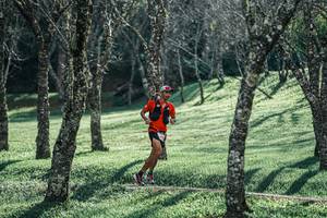 BIB: 
                            <button type="button" onclick="openModal(25231193)" class="btn btn-primary btn-sm float-right btn-popup" data-toggle="modal" data-target=".modal-high-quality">
                        <i class="fas fa-shopping-cart"></i> Add to Cart
                    </button>
                                            <button type="button" onclick="isThisMe(25231193, true)" class="btn btn-success btn-sm float-right btn-popup btn-isme hidden" data-toggle="tooltip" data-placement="bottom" title="นี่คือรูปของคุณใช่ไหม คลิกที่นี่เพื่อเอาเข้าอัลบั้ม">
                        <i class="fas fa-plus"></i> Add to album
                    </button>
                    <button type="button" onclick="isThisMe(25231193, false)" class="btn btn-warning btn-sm float-right btn-popup btn-isnotme hidden">
                        <i class="fas fa-ban"></i> Remove from album
                    </button>