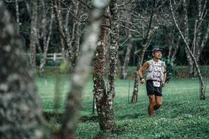 BIB: 
                            <button type="button" onclick="openModal(25228487)" class="btn btn-primary btn-sm float-right btn-popup" data-toggle="modal" data-target=".modal-high-quality">
                        <i class="fas fa-shopping-cart"></i> Add to Cart
                    </button>
                                            <button type="button" onclick="isThisMe(25228487, true)" class="btn btn-success btn-sm float-right btn-popup btn-isme hidden" data-toggle="tooltip" data-placement="bottom" title="นี่คือรูปของคุณใช่ไหม คลิกที่นี่เพื่อเอาเข้าอัลบั้ม">
                        <i class="fas fa-plus"></i> Add to album
                    </button>
                    <button type="button" onclick="isThisMe(25228487, false)" class="btn btn-warning btn-sm float-right btn-popup btn-isnotme hidden">
                        <i class="fas fa-ban"></i> Remove from album
                    </button>