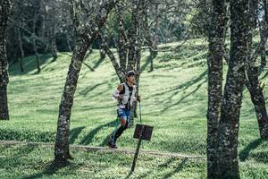 BIB: 
                            <button type="button" onclick="openModal(25231546)" class="btn btn-primary btn-sm float-right btn-popup" data-toggle="modal" data-target=".modal-high-quality">
                        <i class="fas fa-shopping-cart"></i> Add to Cart
                    </button>
                                            <button type="button" onclick="isThisMe(25231546, true)" class="btn btn-success btn-sm float-right btn-popup btn-isme hidden" data-toggle="tooltip" data-placement="bottom" title="นี่คือรูปของคุณใช่ไหม คลิกที่นี่เพื่อเอาเข้าอัลบั้ม">
                        <i class="fas fa-plus"></i> Add to album
                    </button>
                    <button type="button" onclick="isThisMe(25231546, false)" class="btn btn-warning btn-sm float-right btn-popup btn-isnotme hidden">
                        <i class="fas fa-ban"></i> Remove from album
                    </button>