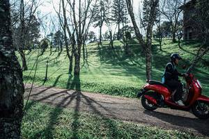 BIB: 
                            <button type="button" onclick="openModal(25232218)" class="btn btn-primary btn-sm float-right btn-popup" data-toggle="modal" data-target=".modal-high-quality">
                        <i class="fas fa-shopping-cart"></i> Add to Cart
                    </button>
                                            <button type="button" onclick="isThisMe(25232218, true)" class="btn btn-success btn-sm float-right btn-popup btn-isme hidden" data-toggle="tooltip" data-placement="bottom" title="นี่คือรูปของคุณใช่ไหม คลิกที่นี่เพื่อเอาเข้าอัลบั้ม">
                        <i class="fas fa-plus"></i> Add to album
                    </button>
                    <button type="button" onclick="isThisMe(25232218, false)" class="btn btn-warning btn-sm float-right btn-popup btn-isnotme hidden">
                        <i class="fas fa-ban"></i> Remove from album
                    </button>