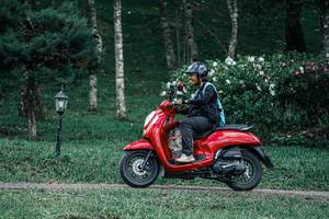 BIB: 
                            <button type="button" onclick="openModal(25230632)" class="btn btn-primary btn-sm float-right btn-popup" data-toggle="modal" data-target=".modal-high-quality">
                        <i class="fas fa-shopping-cart"></i> Add to Cart
                    </button>
                                            <button type="button" onclick="isThisMe(25230632, true)" class="btn btn-success btn-sm float-right btn-popup btn-isme hidden" data-toggle="tooltip" data-placement="bottom" title="นี่คือรูปของคุณใช่ไหม คลิกที่นี่เพื่อเอาเข้าอัลบั้ม">
                        <i class="fas fa-plus"></i> Add to album
                    </button>
                    <button type="button" onclick="isThisMe(25230632, false)" class="btn btn-warning btn-sm float-right btn-popup btn-isnotme hidden">
                        <i class="fas fa-ban"></i> Remove from album
                    </button>