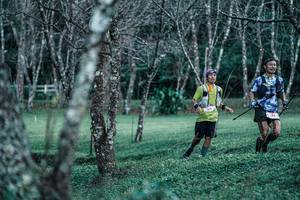 BIB: 
                            <button type="button" onclick="openModal(25228915)" class="btn btn-primary btn-sm float-right btn-popup" data-toggle="modal" data-target=".modal-high-quality">
                        <i class="fas fa-shopping-cart"></i> Add to Cart
                    </button>
                                            <button type="button" onclick="isThisMe(25228915, true)" class="btn btn-success btn-sm float-right btn-popup btn-isme hidden" data-toggle="tooltip" data-placement="bottom" title="นี่คือรูปของคุณใช่ไหม คลิกที่นี่เพื่อเอาเข้าอัลบั้ม">
                        <i class="fas fa-plus"></i> Add to album
                    </button>
                    <button type="button" onclick="isThisMe(25228915, false)" class="btn btn-warning btn-sm float-right btn-popup btn-isnotme hidden">
                        <i class="fas fa-ban"></i> Remove from album
                    </button>