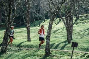 BIB: 
                            <button type="button" onclick="openModal(25231656)" class="btn btn-primary btn-sm float-right btn-popup" data-toggle="modal" data-target=".modal-high-quality">
                        <i class="fas fa-shopping-cart"></i> Add to Cart
                    </button>
                                            <button type="button" onclick="isThisMe(25231656, true)" class="btn btn-success btn-sm float-right btn-popup btn-isme hidden" data-toggle="tooltip" data-placement="bottom" title="นี่คือรูปของคุณใช่ไหม คลิกที่นี่เพื่อเอาเข้าอัลบั้ม">
                        <i class="fas fa-plus"></i> Add to album
                    </button>
                    <button type="button" onclick="isThisMe(25231656, false)" class="btn btn-warning btn-sm float-right btn-popup btn-isnotme hidden">
                        <i class="fas fa-ban"></i> Remove from album
                    </button>