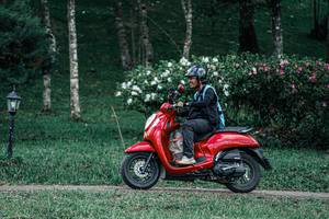 BIB: 
                            <button type="button" onclick="openModal(25230640)" class="btn btn-primary btn-sm float-right btn-popup" data-toggle="modal" data-target=".modal-high-quality">
                        <i class="fas fa-shopping-cart"></i> Add to Cart
                    </button>
                                            <button type="button" onclick="isThisMe(25230640, true)" class="btn btn-success btn-sm float-right btn-popup btn-isme hidden" data-toggle="tooltip" data-placement="bottom" title="นี่คือรูปของคุณใช่ไหม คลิกที่นี่เพื่อเอาเข้าอัลบั้ม">
                        <i class="fas fa-plus"></i> Add to album
                    </button>
                    <button type="button" onclick="isThisMe(25230640, false)" class="btn btn-warning btn-sm float-right btn-popup btn-isnotme hidden">
                        <i class="fas fa-ban"></i> Remove from album
                    </button>