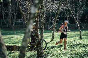 BIB: 
                            <button type="button" onclick="openModal(25232540)" class="btn btn-primary btn-sm float-right btn-popup" data-toggle="modal" data-target=".modal-high-quality">
                        <i class="fas fa-shopping-cart"></i> Add to Cart
                    </button>
                                            <button type="button" onclick="isThisMe(25232540, true)" class="btn btn-success btn-sm float-right btn-popup btn-isme hidden" data-toggle="tooltip" data-placement="bottom" title="นี่คือรูปของคุณใช่ไหม คลิกที่นี่เพื่อเอาเข้าอัลบั้ม">
                        <i class="fas fa-plus"></i> Add to album
                    </button>
                    <button type="button" onclick="isThisMe(25232540, false)" class="btn btn-warning btn-sm float-right btn-popup btn-isnotme hidden">
                        <i class="fas fa-ban"></i> Remove from album
                    </button>