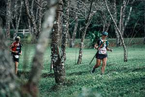 BIB: 
                            <button type="button" onclick="openModal(25229278)" class="btn btn-primary btn-sm float-right btn-popup" data-toggle="modal" data-target=".modal-high-quality">
                        <i class="fas fa-shopping-cart"></i> Add to Cart
                    </button>
                                            <button type="button" onclick="isThisMe(25229278, true)" class="btn btn-success btn-sm float-right btn-popup btn-isme hidden" data-toggle="tooltip" data-placement="bottom" title="นี่คือรูปของคุณใช่ไหม คลิกที่นี่เพื่อเอาเข้าอัลบั้ม">
                        <i class="fas fa-plus"></i> Add to album
                    </button>
                    <button type="button" onclick="isThisMe(25229278, false)" class="btn btn-warning btn-sm float-right btn-popup btn-isnotme hidden">
                        <i class="fas fa-ban"></i> Remove from album
                    </button>