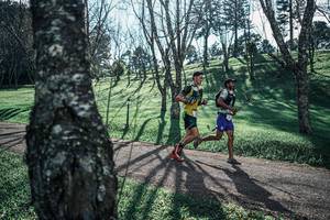 BIB: 
                            <button type="button" onclick="openModal(25231956)" class="btn btn-primary btn-sm float-right btn-popup" data-toggle="modal" data-target=".modal-high-quality">
                        <i class="fas fa-shopping-cart"></i> Add to Cart
                    </button>
                                            <button type="button" onclick="isThisMe(25231956, true)" class="btn btn-success btn-sm float-right btn-popup btn-isme hidden" data-toggle="tooltip" data-placement="bottom" title="นี่คือรูปของคุณใช่ไหม คลิกที่นี่เพื่อเอาเข้าอัลบั้ม">
                        <i class="fas fa-plus"></i> Add to album
                    </button>
                    <button type="button" onclick="isThisMe(25231956, false)" class="btn btn-warning btn-sm float-right btn-popup btn-isnotme hidden">
                        <i class="fas fa-ban"></i> Remove from album
                    </button>