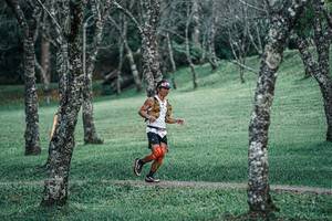 BIB: 
                            <button type="button" onclick="openModal(25230428)" class="btn btn-primary btn-sm float-right btn-popup" data-toggle="modal" data-target=".modal-high-quality">
                        <i class="fas fa-shopping-cart"></i> Add to Cart
                    </button>
                                            <button type="button" onclick="isThisMe(25230428, true)" class="btn btn-success btn-sm float-right btn-popup btn-isme hidden" data-toggle="tooltip" data-placement="bottom" title="นี่คือรูปของคุณใช่ไหม คลิกที่นี่เพื่อเอาเข้าอัลบั้ม">
                        <i class="fas fa-plus"></i> Add to album
                    </button>
                    <button type="button" onclick="isThisMe(25230428, false)" class="btn btn-warning btn-sm float-right btn-popup btn-isnotme hidden">
                        <i class="fas fa-ban"></i> Remove from album
                    </button>