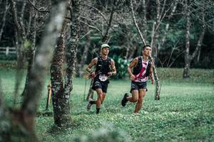 BIB: 
                            <button type="button" onclick="openModal(25229432)" class="btn btn-primary btn-sm float-right btn-popup" data-toggle="modal" data-target=".modal-high-quality">
                        <i class="fas fa-shopping-cart"></i> Add to Cart
                    </button>
                                            <button type="button" onclick="isThisMe(25229432, true)" class="btn btn-success btn-sm float-right btn-popup btn-isme hidden" data-toggle="tooltip" data-placement="bottom" title="นี่คือรูปของคุณใช่ไหม คลิกที่นี่เพื่อเอาเข้าอัลบั้ม">
                        <i class="fas fa-plus"></i> Add to album
                    </button>
                    <button type="button" onclick="isThisMe(25229432, false)" class="btn btn-warning btn-sm float-right btn-popup btn-isnotme hidden">
                        <i class="fas fa-ban"></i> Remove from album
                    </button>