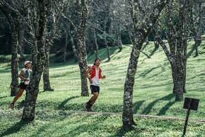 BIB: 
                            <button type="button" onclick="openModal(25231671)" class="btn btn-primary btn-sm float-right btn-popup" data-toggle="modal" data-target=".modal-high-quality">
                        <i class="fas fa-shopping-cart"></i> Add to Cart
                    </button>
                                            <button type="button" onclick="isThisMe(25231671, true)" class="btn btn-success btn-sm float-right btn-popup btn-isme hidden" data-toggle="tooltip" data-placement="bottom" title="นี่คือรูปของคุณใช่ไหม คลิกที่นี่เพื่อเอาเข้าอัลบั้ม">
                        <i class="fas fa-plus"></i> Add to album
                    </button>
                    <button type="button" onclick="isThisMe(25231671, false)" class="btn btn-warning btn-sm float-right btn-popup btn-isnotme hidden">
                        <i class="fas fa-ban"></i> Remove from album
                    </button>