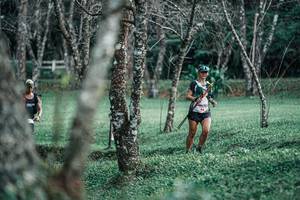 BIB: 
                            <button type="button" onclick="openModal(25229279)" class="btn btn-primary btn-sm float-right btn-popup" data-toggle="modal" data-target=".modal-high-quality">
                        <i class="fas fa-shopping-cart"></i> Add to Cart
                    </button>
                                            <button type="button" onclick="isThisMe(25229279, true)" class="btn btn-success btn-sm float-right btn-popup btn-isme hidden" data-toggle="tooltip" data-placement="bottom" title="นี่คือรูปของคุณใช่ไหม คลิกที่นี่เพื่อเอาเข้าอัลบั้ม">
                        <i class="fas fa-plus"></i> Add to album
                    </button>
                    <button type="button" onclick="isThisMe(25229279, false)" class="btn btn-warning btn-sm float-right btn-popup btn-isnotme hidden">
                        <i class="fas fa-ban"></i> Remove from album
                    </button>