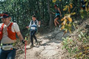 BIB: 
                            <button type="button" onclick="openModal(25769437)" class="btn btn-primary btn-sm float-right btn-popup" data-toggle="modal" data-target=".modal-high-quality">
                        <i class="fas fa-shopping-cart"></i> Add to Cart
                    </button>
                                            <button type="button" onclick="isThisMe(25769437, true)" class="btn btn-success btn-sm float-right btn-popup btn-isme hidden" data-toggle="tooltip" data-placement="bottom" title="นี่คือรูปของคุณใช่ไหม คลิกที่นี่เพื่อเอาเข้าอัลบั้ม">
                        <i class="fas fa-plus"></i> Add to album
                    </button>
                    <button type="button" onclick="isThisMe(25769437, false)" class="btn btn-warning btn-sm float-right btn-popup btn-isnotme hidden">
                        <i class="fas fa-ban"></i> Remove from album
                    </button>