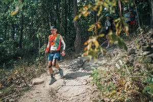 BIB: 
                            <button type="button" onclick="openModal(25759186)" class="btn btn-primary btn-sm float-right btn-popup" data-toggle="modal" data-target=".modal-high-quality">
                        <i class="fas fa-shopping-cart"></i> Add to Cart
                    </button>
                                            <button type="button" onclick="isThisMe(25759186, true)" class="btn btn-success btn-sm float-right btn-popup btn-isme hidden" data-toggle="tooltip" data-placement="bottom" title="นี่คือรูปของคุณใช่ไหม คลิกที่นี่เพื่อเอาเข้าอัลบั้ม">
                        <i class="fas fa-plus"></i> Add to album
                    </button>
                    <button type="button" onclick="isThisMe(25759186, false)" class="btn btn-warning btn-sm float-right btn-popup btn-isnotme hidden">
                        <i class="fas fa-ban"></i> Remove from album
                    </button>