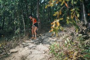 BIB: 
                            <button type="button" onclick="openModal(25755733)" class="btn btn-primary btn-sm float-right btn-popup" data-toggle="modal" data-target=".modal-high-quality">
                        <i class="fas fa-shopping-cart"></i> Add to Cart
                    </button>
                                            <button type="button" onclick="isThisMe(25755733, true)" class="btn btn-success btn-sm float-right btn-popup btn-isme hidden" data-toggle="tooltip" data-placement="bottom" title="นี่คือรูปของคุณใช่ไหม คลิกที่นี่เพื่อเอาเข้าอัลบั้ม">
                        <i class="fas fa-plus"></i> Add to album
                    </button>
                    <button type="button" onclick="isThisMe(25755733, false)" class="btn btn-warning btn-sm float-right btn-popup btn-isnotme hidden">
                        <i class="fas fa-ban"></i> Remove from album
                    </button>