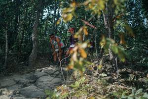 BIB: 
                            <button type="button" onclick="openModal(25851350)" class="btn btn-primary btn-sm float-right btn-popup" data-toggle="modal" data-target=".modal-high-quality">
                        <i class="fas fa-shopping-cart"></i> Add to Cart
                    </button>
                                            <button type="button" onclick="isThisMe(25851350, true)" class="btn btn-success btn-sm float-right btn-popup btn-isme hidden" data-toggle="tooltip" data-placement="bottom" title="นี่คือรูปของคุณใช่ไหม คลิกที่นี่เพื่อเอาเข้าอัลบั้ม">
                        <i class="fas fa-plus"></i> Add to album
                    </button>
                    <button type="button" onclick="isThisMe(25851350, false)" class="btn btn-warning btn-sm float-right btn-popup btn-isnotme hidden">
                        <i class="fas fa-ban"></i> Remove from album
                    </button>