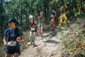 BIB: 
                            <button type="button" onclick="openModal(25745909)" class="btn btn-primary btn-sm float-right btn-popup" data-toggle="modal" data-target=".modal-high-quality">
                        <i class="fas fa-shopping-cart"></i> Add to Cart
                    </button>
                                            <button type="button" onclick="isThisMe(25745909, true)" class="btn btn-success btn-sm float-right btn-popup btn-isme hidden" data-toggle="tooltip" data-placement="bottom" title="นี่คือรูปของคุณใช่ไหม คลิกที่นี่เพื่อเอาเข้าอัลบั้ม">
                        <i class="fas fa-plus"></i> Add to album
                    </button>
                    <button type="button" onclick="isThisMe(25745909, false)" class="btn btn-warning btn-sm float-right btn-popup btn-isnotme hidden">
                        <i class="fas fa-ban"></i> Remove from album
                    </button>